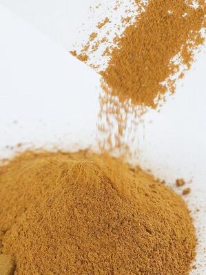 ПОЛИДИГИДРОКСИНДОЛ ЬМеламин